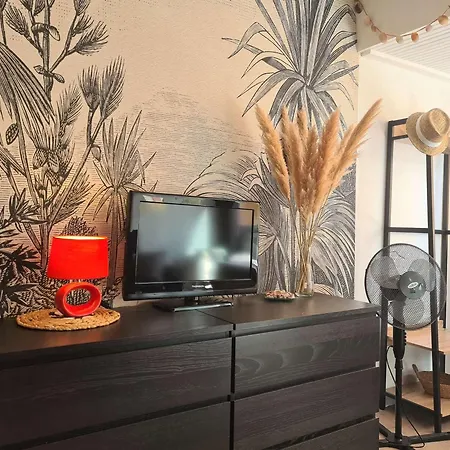 Cap D'agde, 1 Piece, 2 Personnes - Fr-1-249-403 Agde